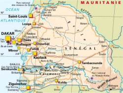 senegal1.jpg (20543 octets)